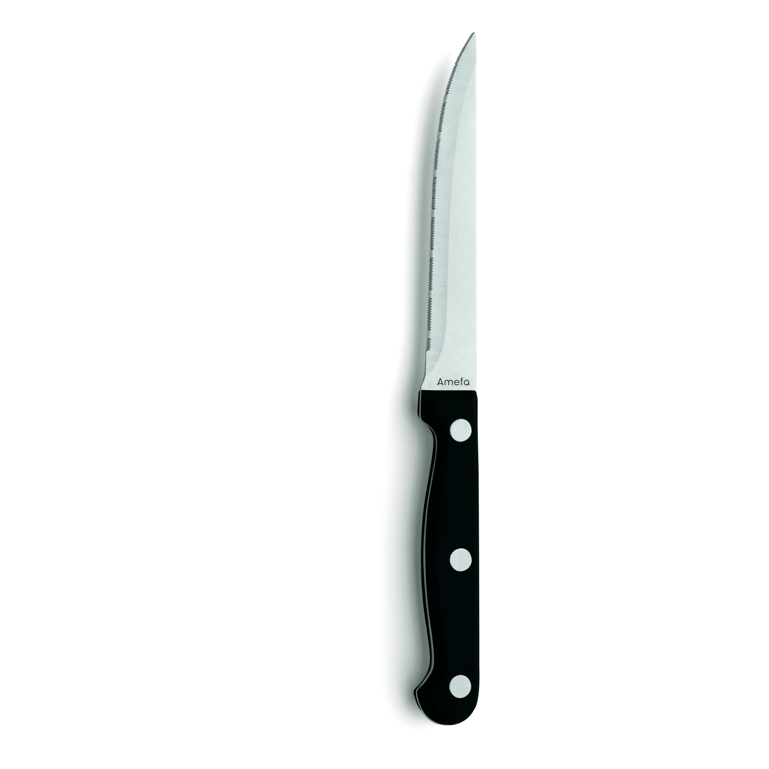 Amefa Steak 7025 Steakmes met Franse kartel 21.7 cm Kunststof-rvs (Set van 12)