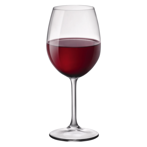 Bormioli Rocco Riserva Wijnglas 49 cl (Set van 6)
