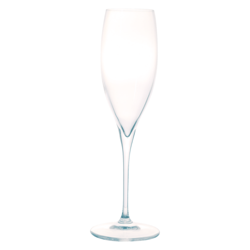 Bormioli Rocco Galileo Champagneglas / Flute 26 cl (Set van 2)