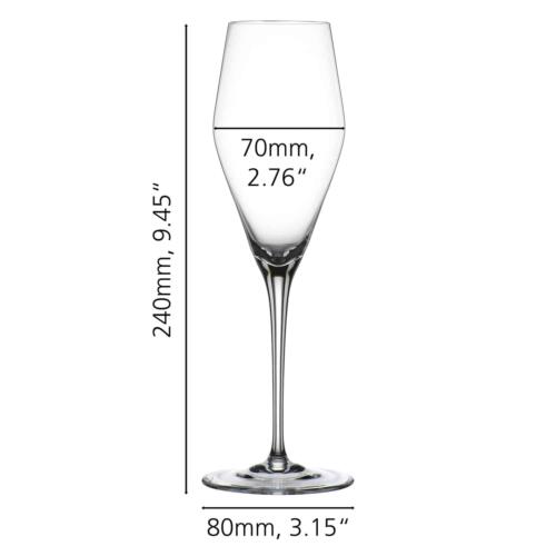 SPIEGELAU Hybrid Champagneglas / Flute 28 cl (Set van 12)