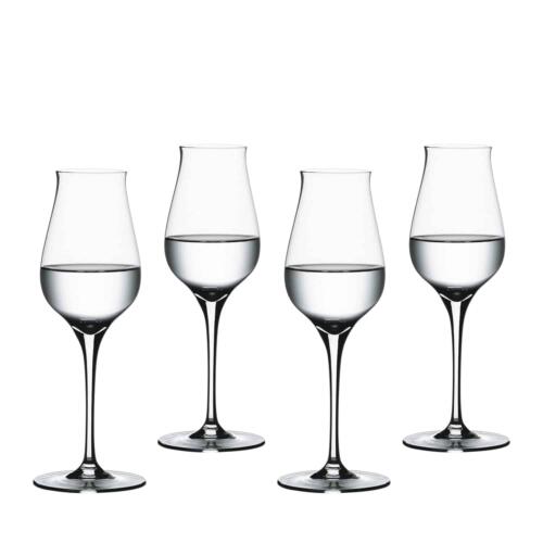 SPIEGELAU Authentis Likeurglas 17 cl (Set van 12)