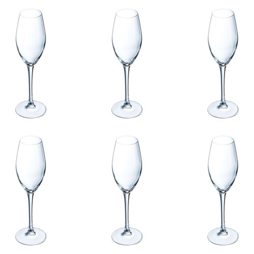 Chef & Sommelier Sequence Champagneglas / Flute 24 cl (Set van 6)