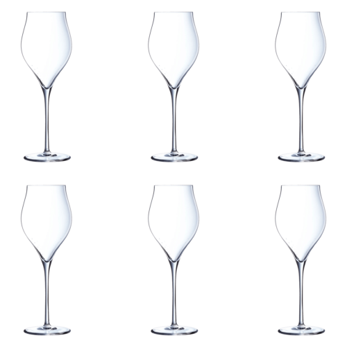 Chef & Sommelier Exaltation Champagneglas / Flute 30 cl (Set van 6)