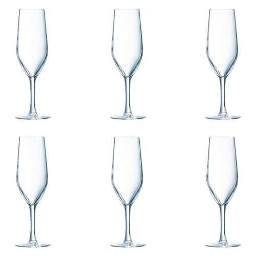 Chef & Sommelier Evidence Champagneglas / Flute 16 cl (Set van 6)